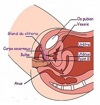 yoni massage
